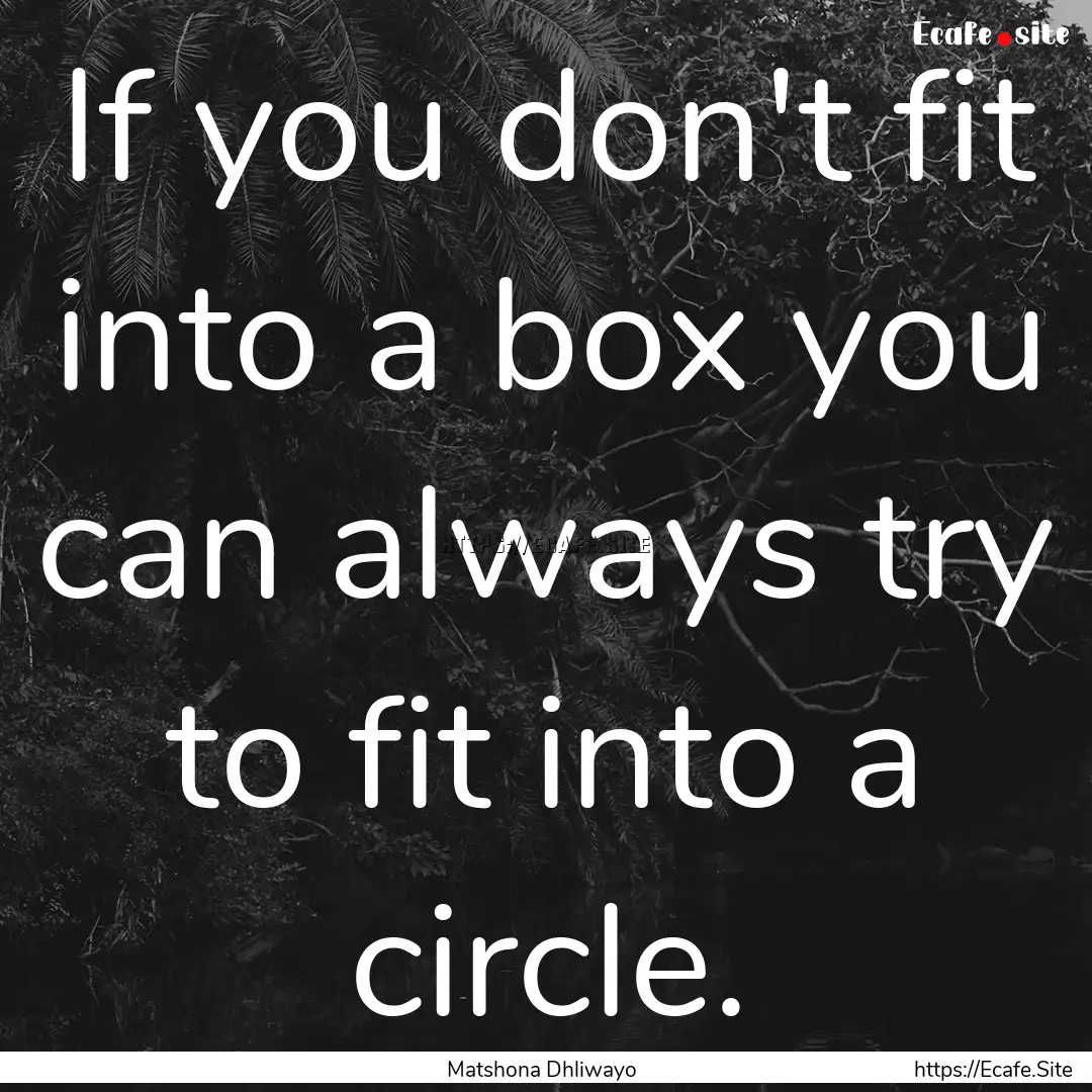 If you don't fit into a box you can always.... : Quote by Matshona Dhliwayo