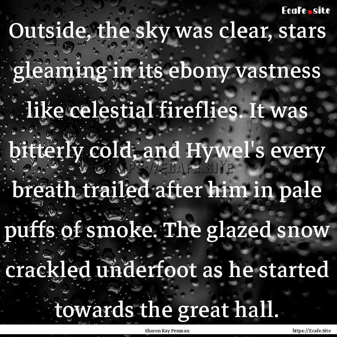 Outside, the sky was clear, stars gleaming.... : Quote by Sharon Kay Penman