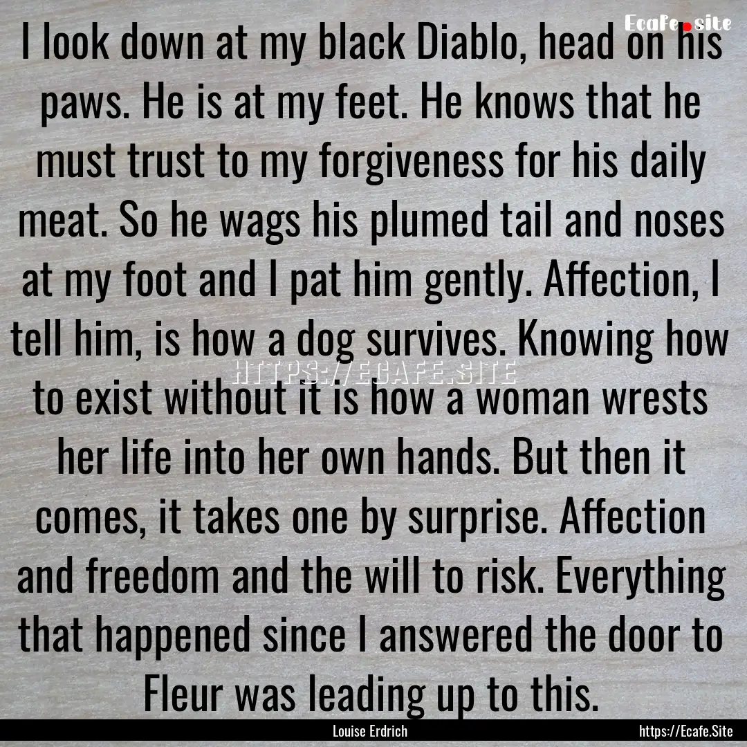 I look down at my black Diablo, head on his.... : Quote by Louise Erdrich