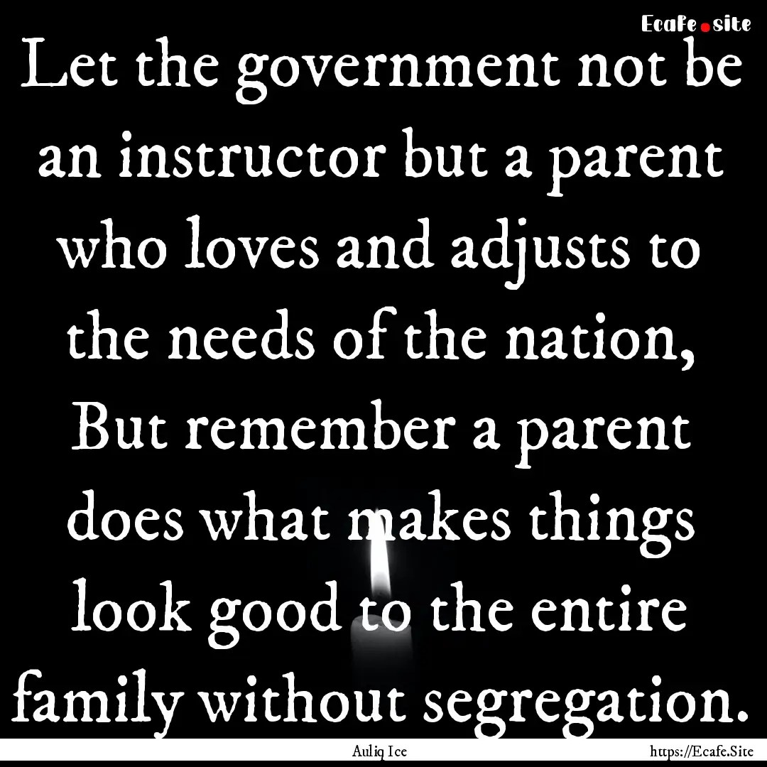 Let the government not be an instructor but.... : Quote by Auliq Ice