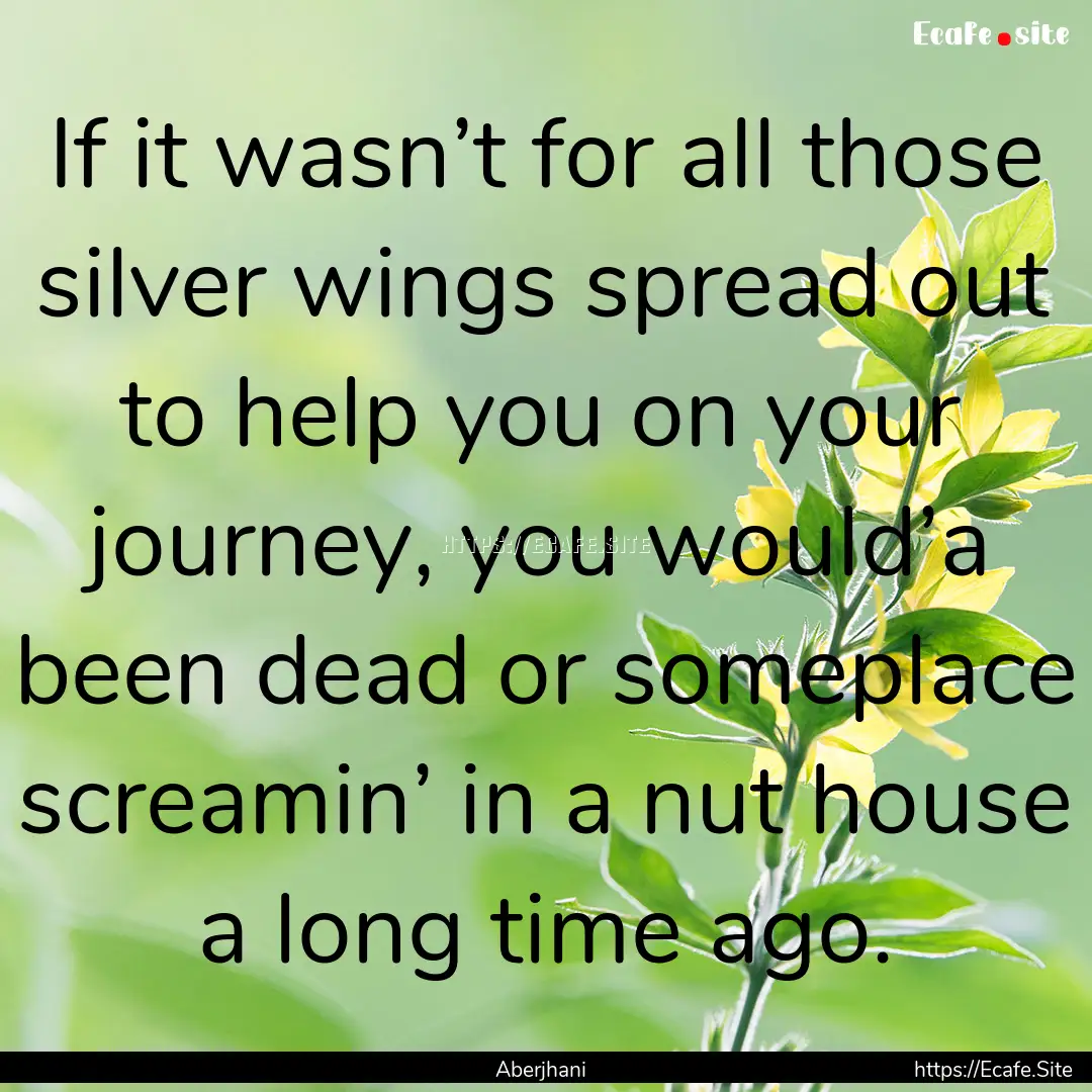 If it wasn’t for all those silver wings.... : Quote by Aberjhani