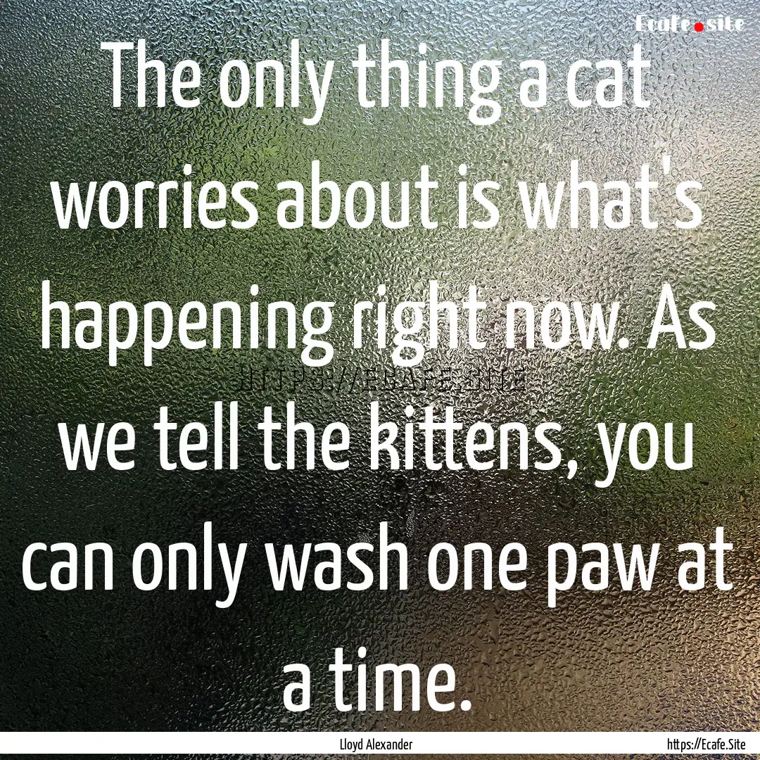 The only thing a cat worries about is what's.... : Quote by Lloyd Alexander