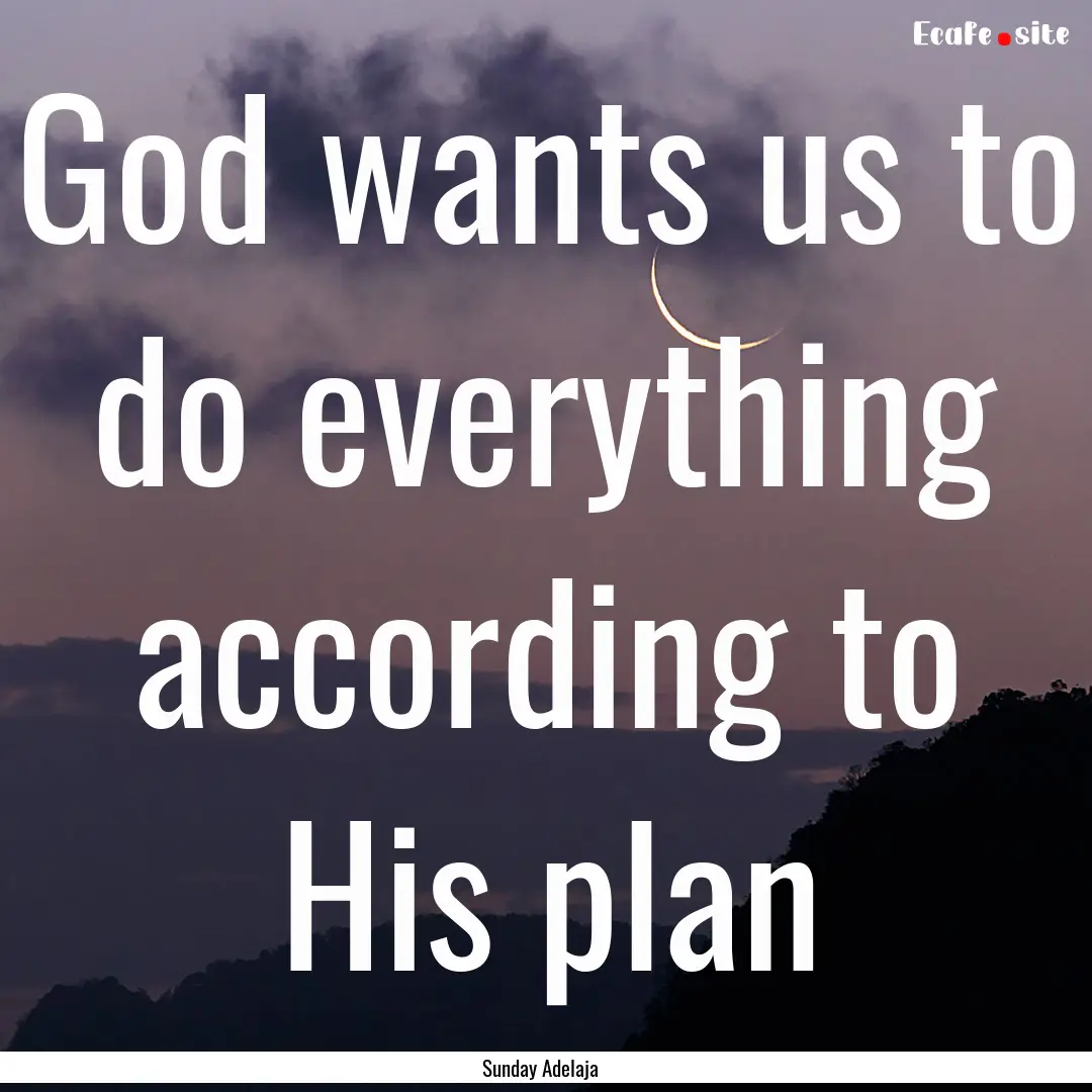 God wants us to do everything according to.... : Quote by Sunday Adelaja