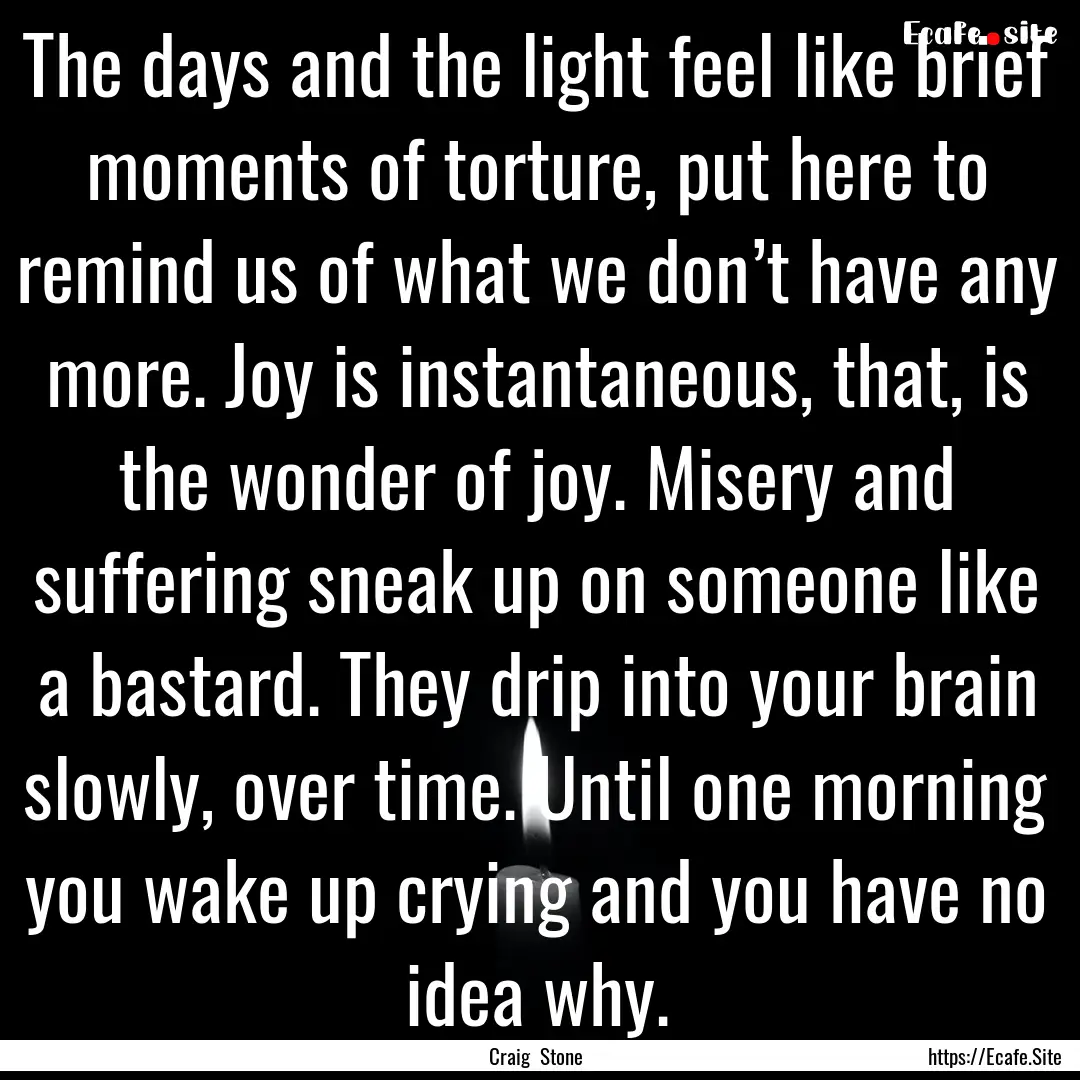 The days and the light feel like brief moments.... : Quote by Craig Stone