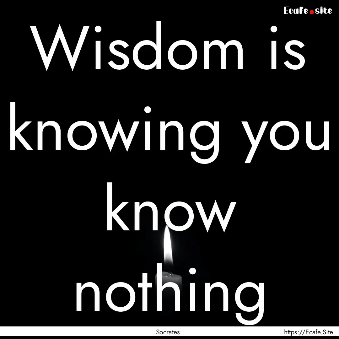 Wisdom is knowing you know nothing : Quote by Socrates