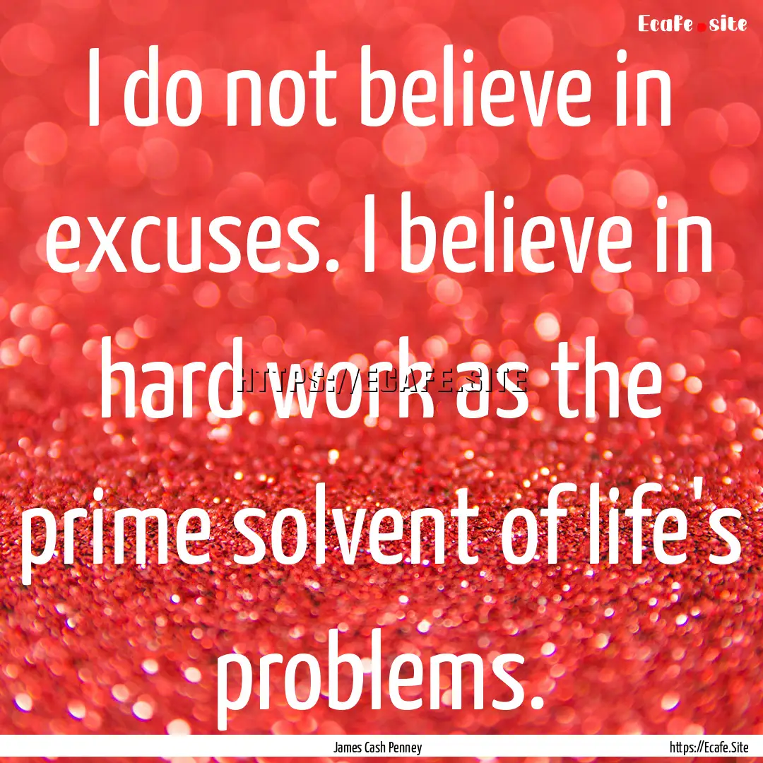 I do not believe in excuses. I believe in.... : Quote by James Cash Penney