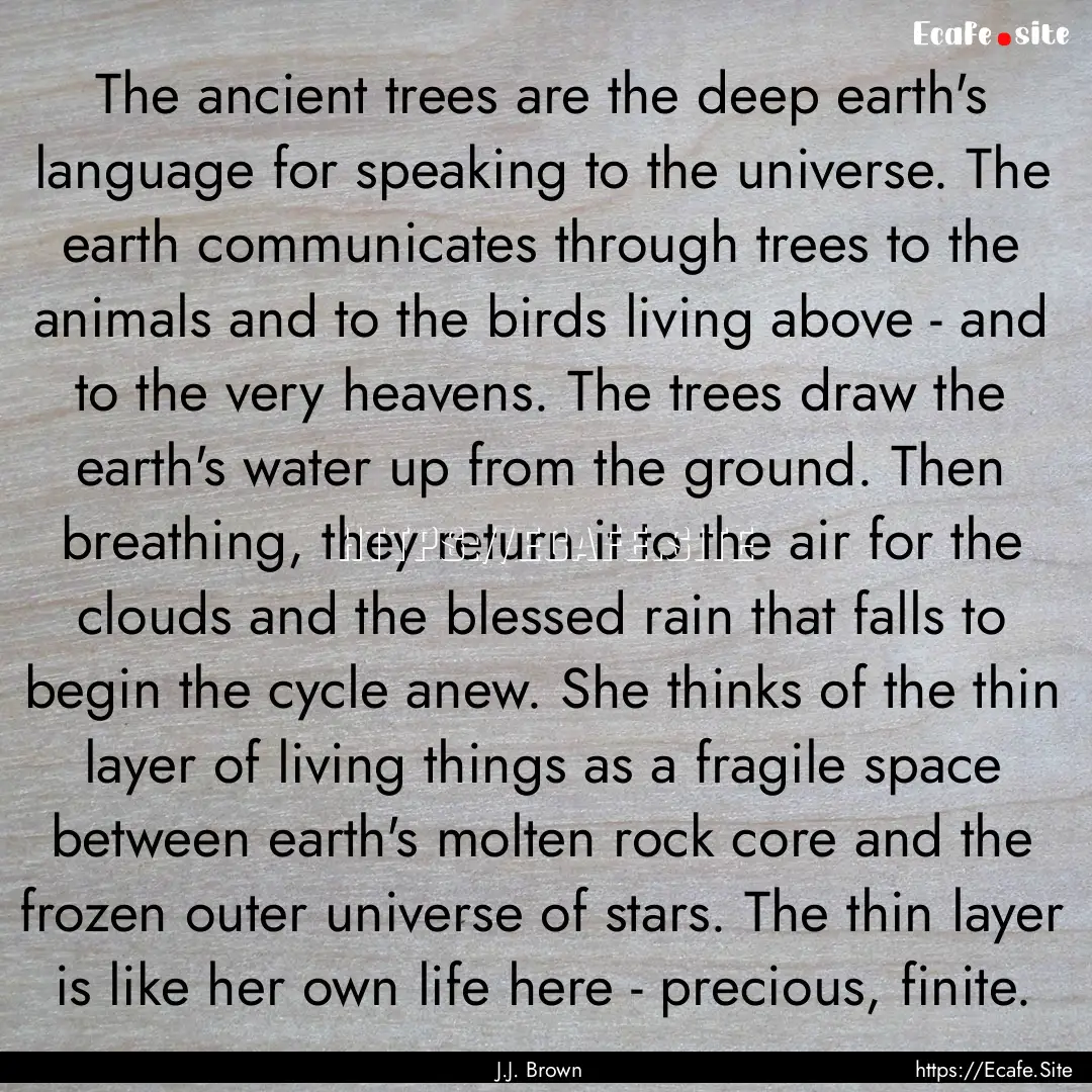 The ancient trees are the deep earth's language.... : Quote by J.J. Brown