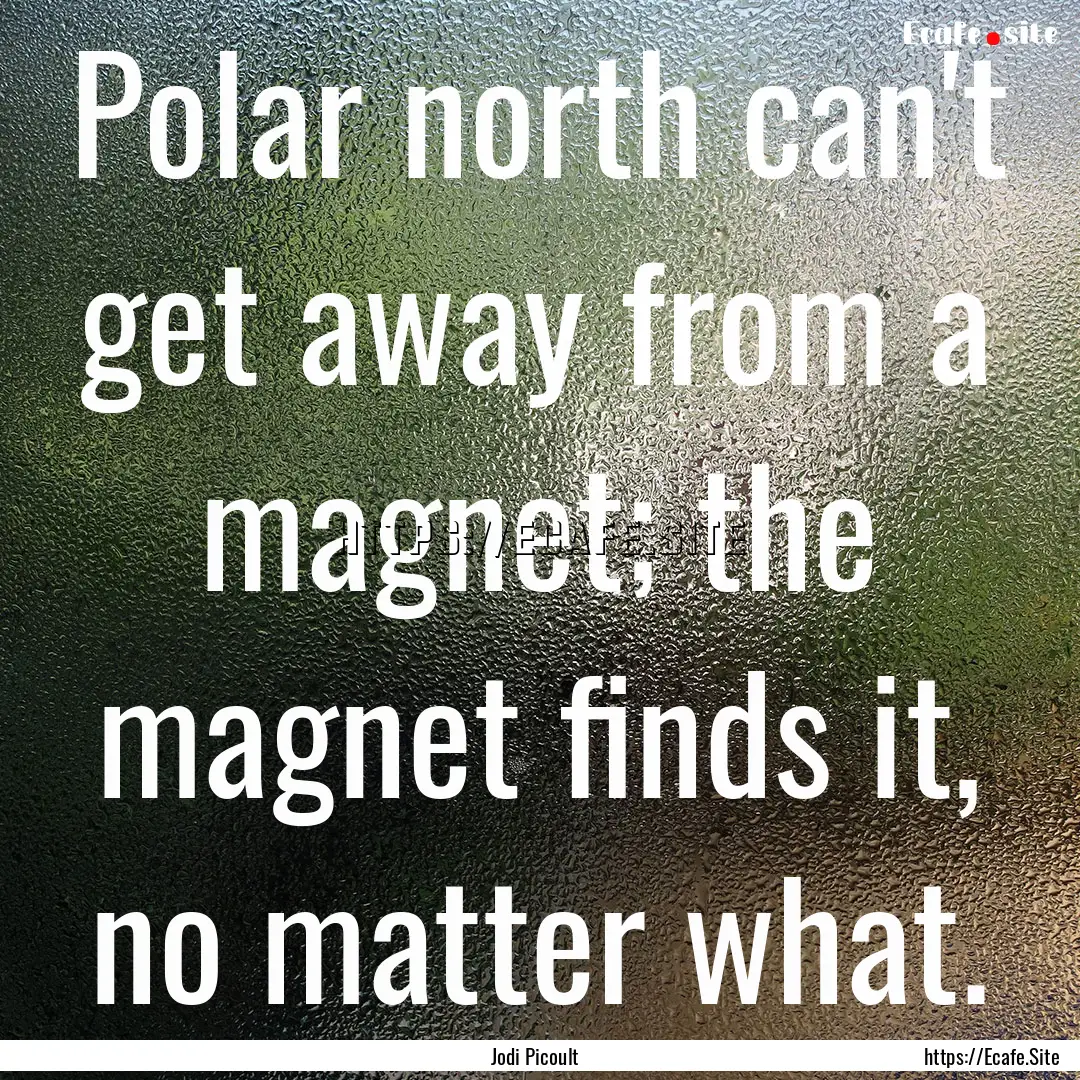 Polar north can't get away from a magnet;.... : Quote by Jodi Picoult