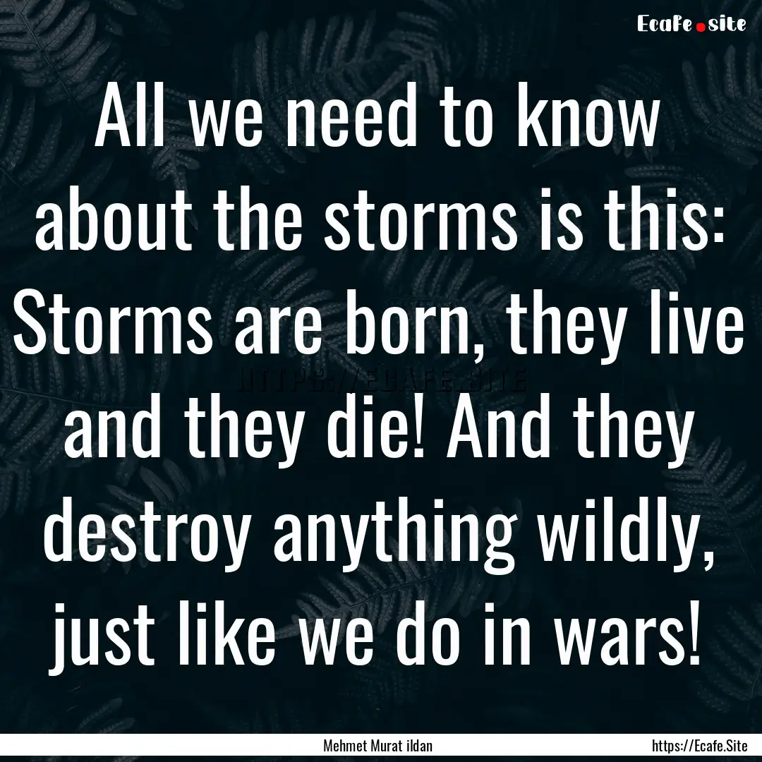 All we need to know about the storms is this:.... : Quote by Mehmet Murat ildan