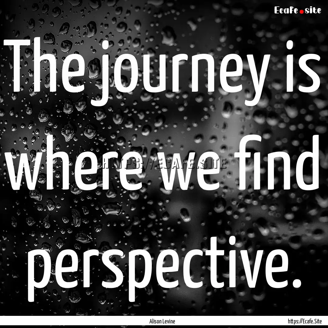 The journey is where we find perspective..... : Quote by Alison Levine