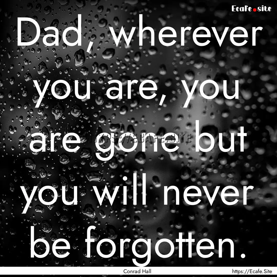 Dad, wherever you are, you are gone but you.... : Quote by Conrad Hall