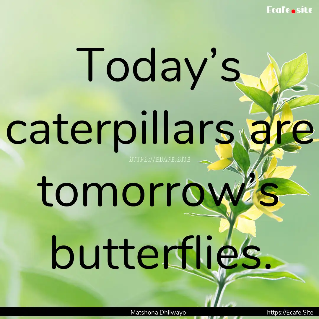 Today’s caterpillars are tomorrow’s butterflies..... : Quote by Matshona Dhilwayo