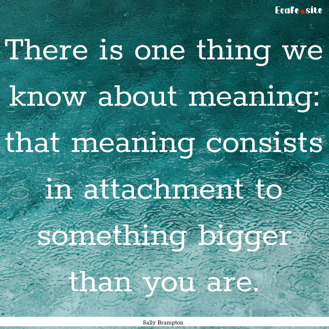 There is one thing we know about meaning:.... : Quote by Sally Brampton