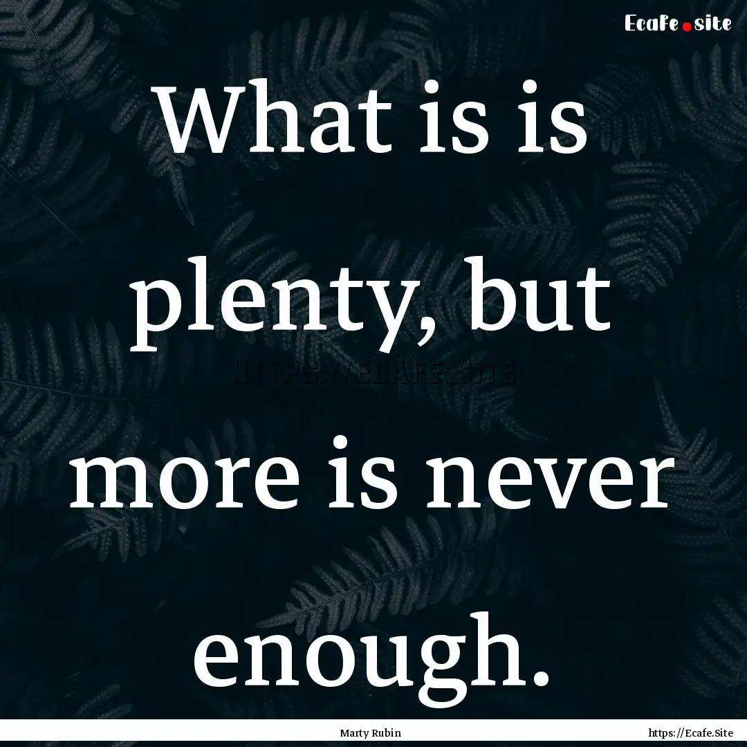 What is is plenty, but more is never enough..... : Quote by Marty Rubin