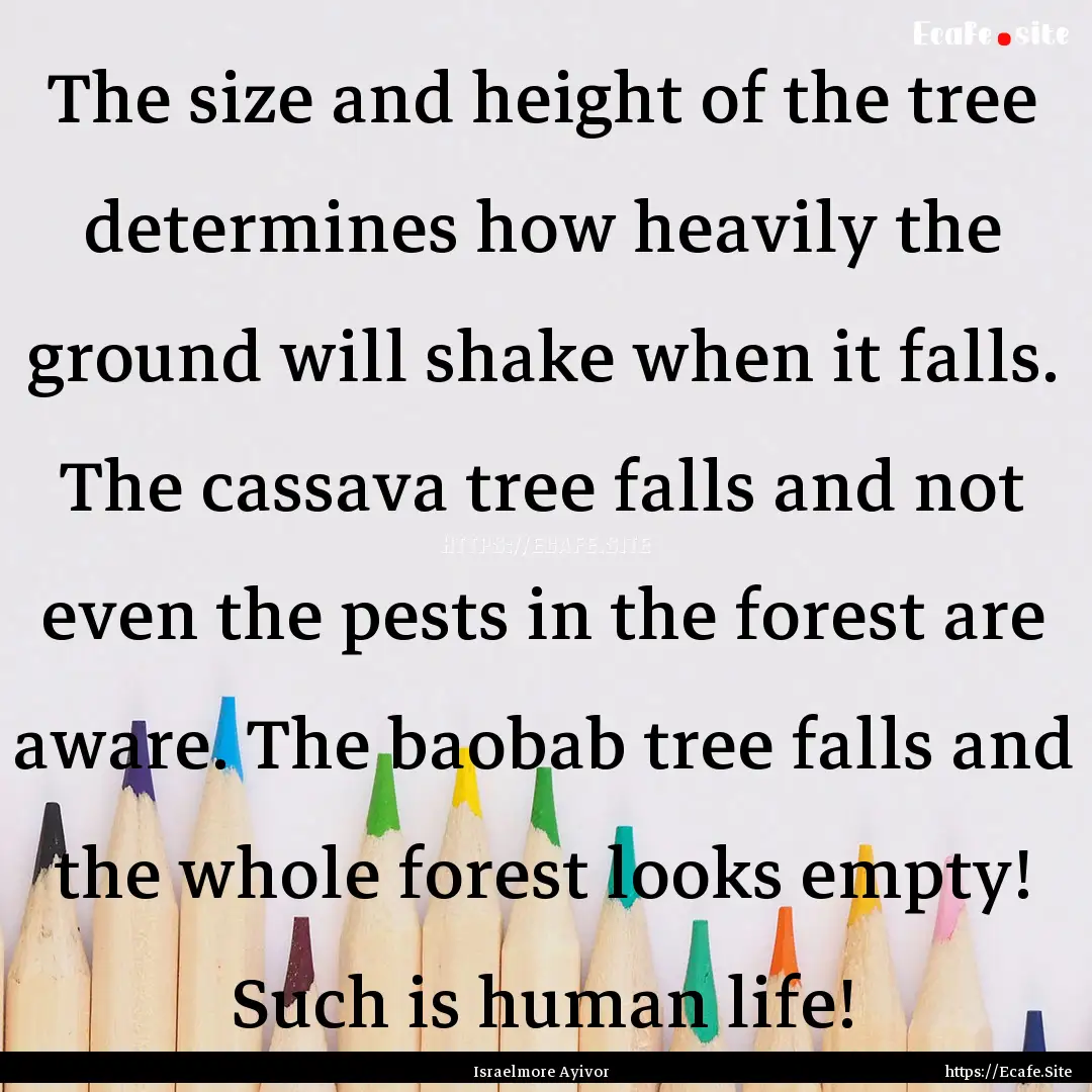 The size and height of the tree determines.... : Quote by Israelmore Ayivor