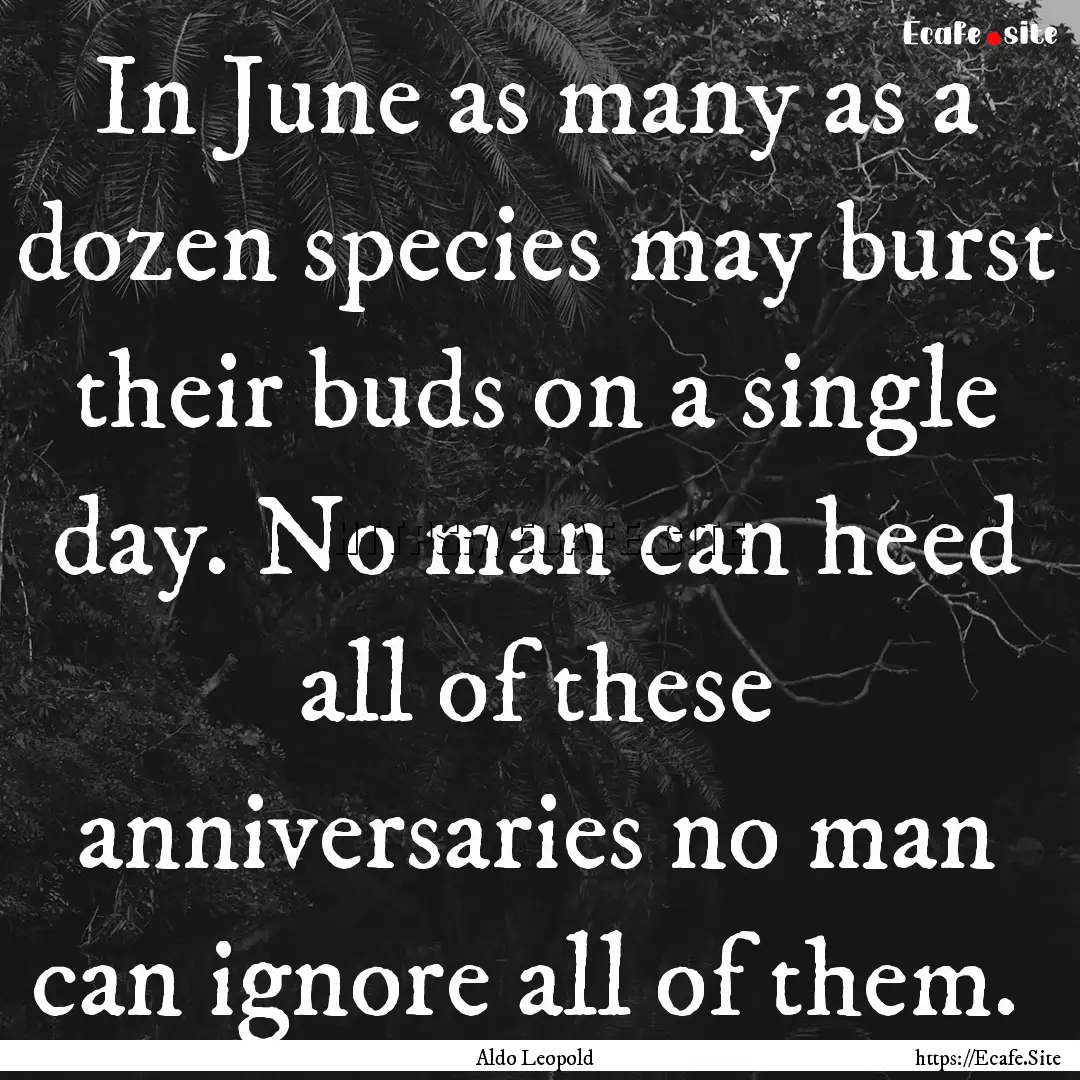 In June as many as a dozen species may burst.... : Quote by Aldo Leopold