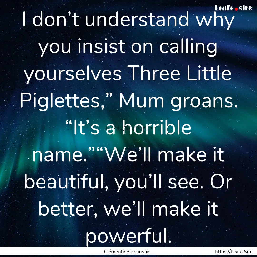 I don’t understand why you insist on calling.... : Quote by Clémentine Beauvais