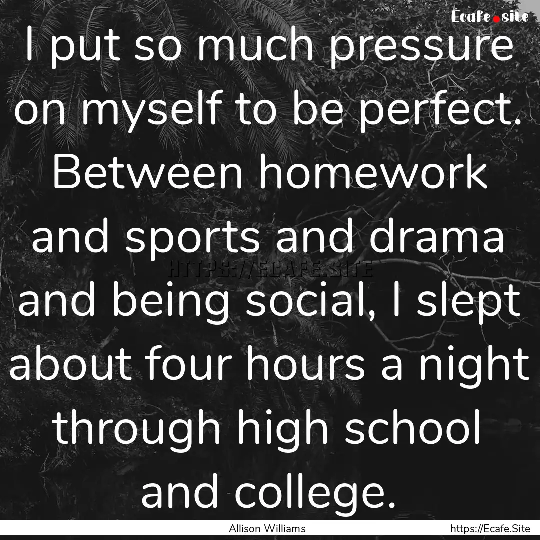 I put so much pressure on myself to be perfect..... : Quote by Allison Williams