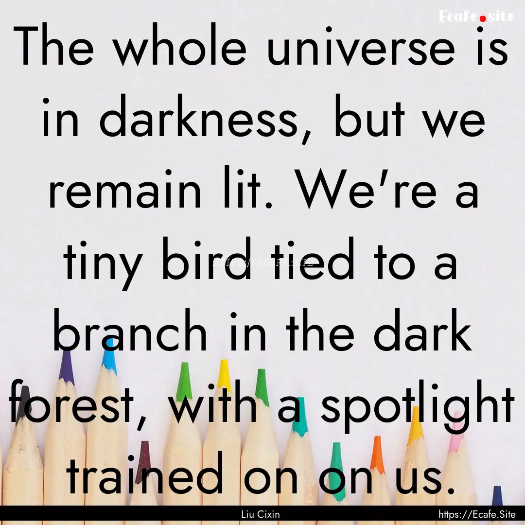 The whole universe is in darkness, but we.... : Quote by Liu Cixin