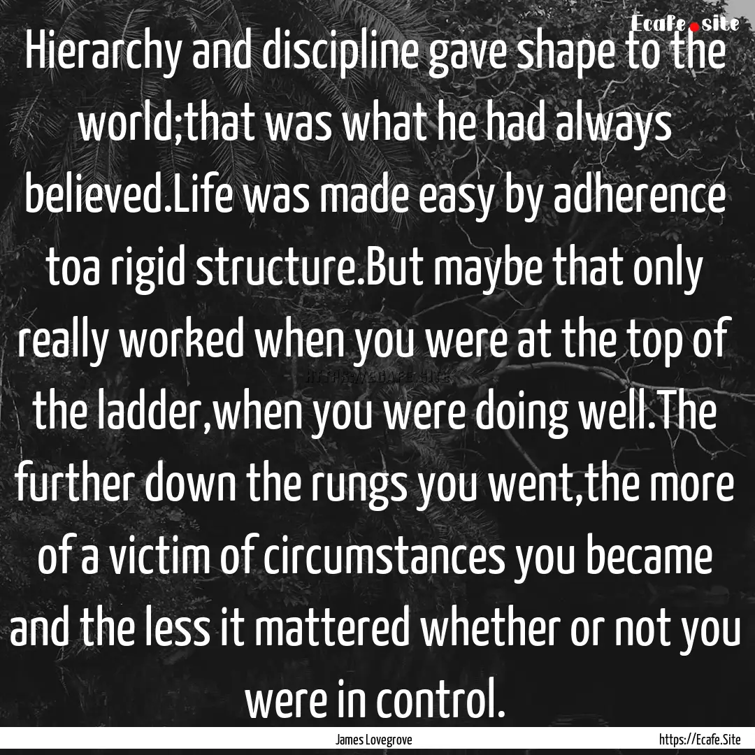 Hierarchy and discipline gave shape to the.... : Quote by James Lovegrove