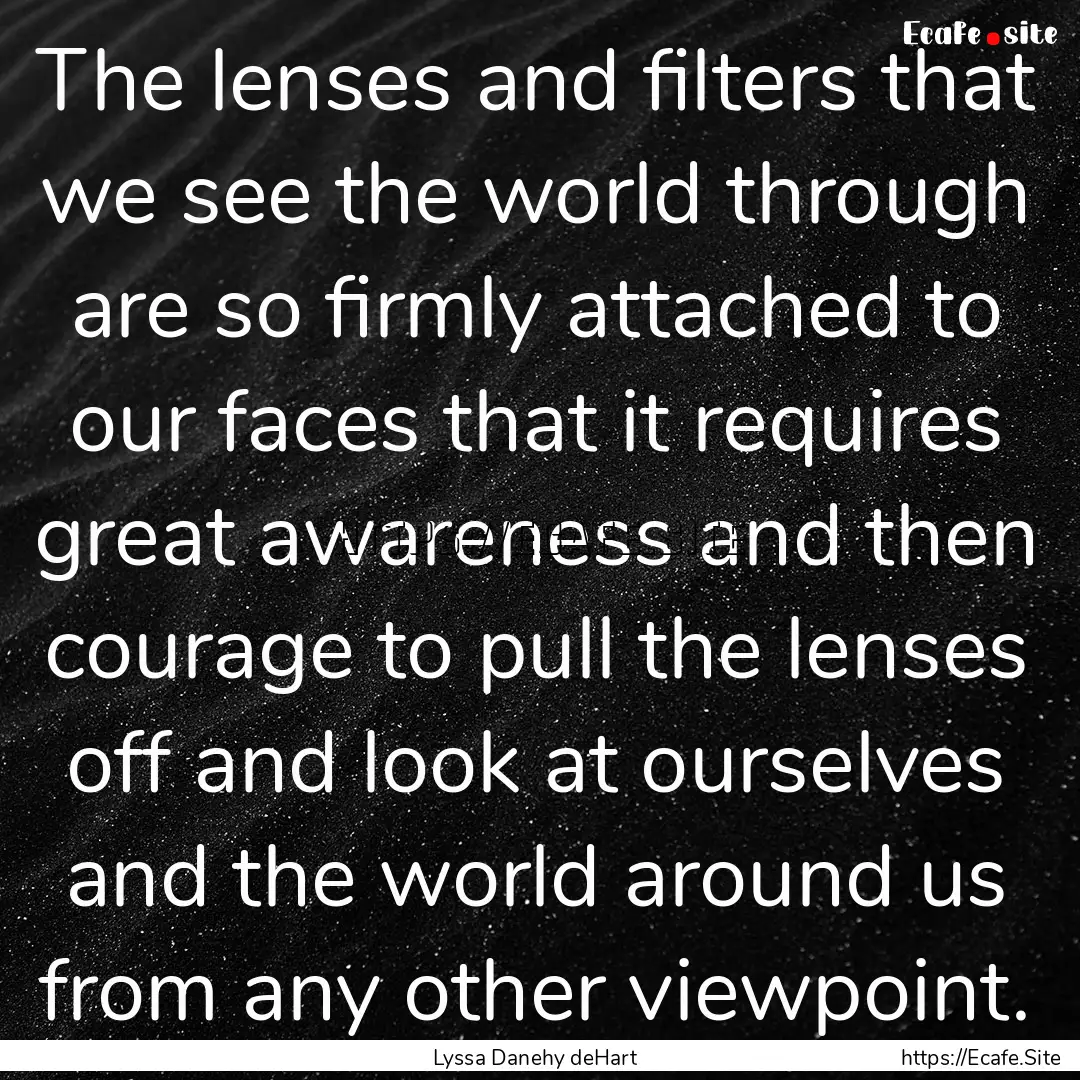 The lenses and filters that we see the world.... : Quote by Lyssa Danehy deHart