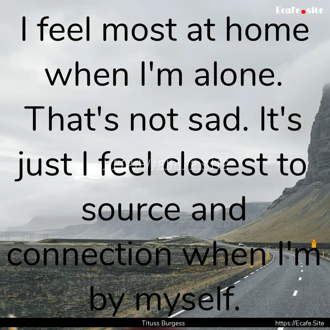 I feel most at home when I'm alone. That's.... : Quote by Tituss Burgess