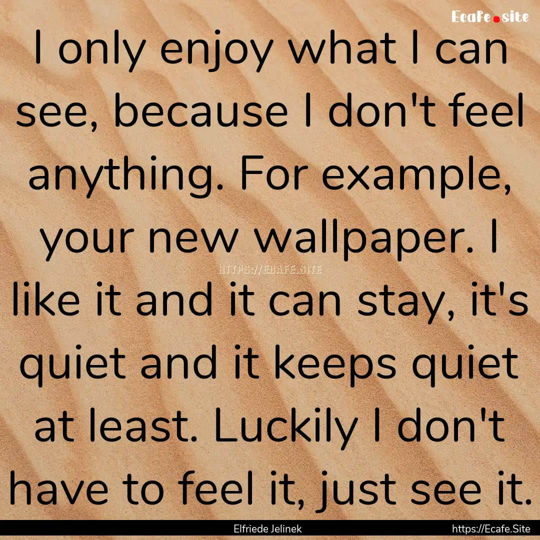 I only enjoy what I can see, because I don't.... : Quote by Elfriede Jelinek