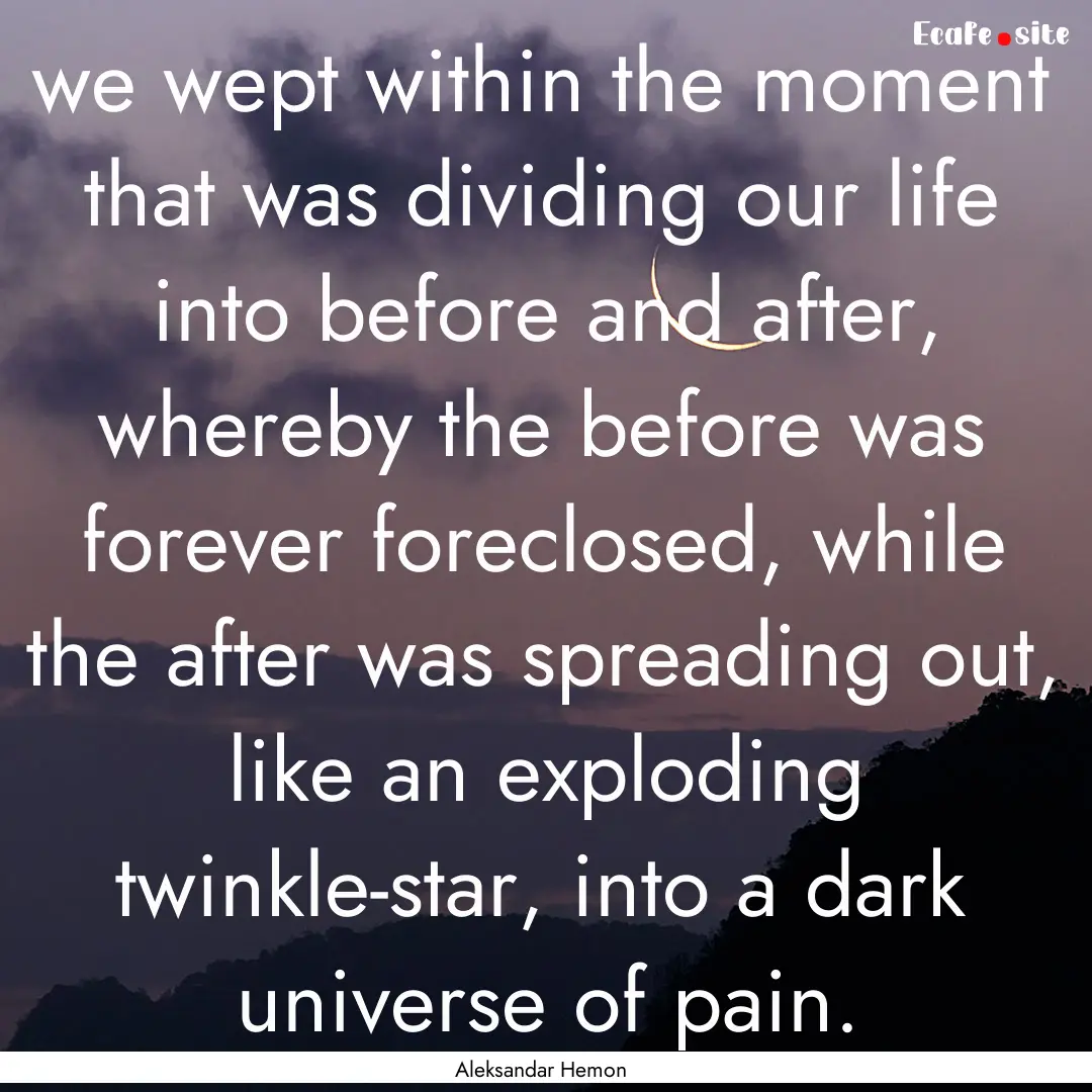 we wept within the moment that was dividing.... : Quote by Aleksandar Hemon