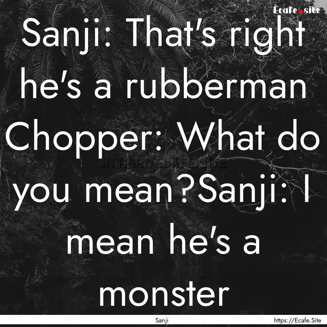 Sanji: That's right he's a rubberman Chopper:.... : Quote by Sanji