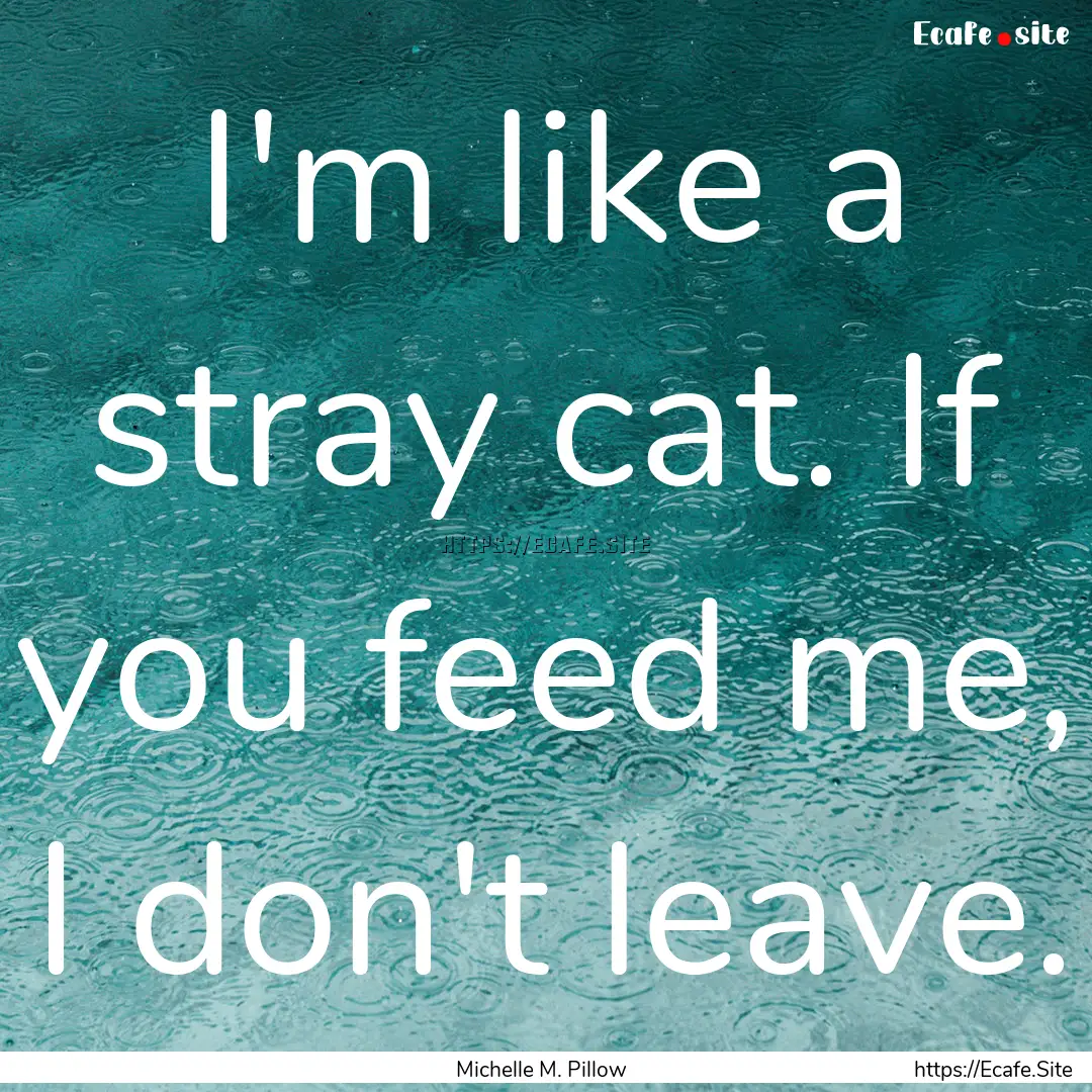 I'm like a stray cat. If you feed me, I don't.... : Quote by Michelle M. Pillow