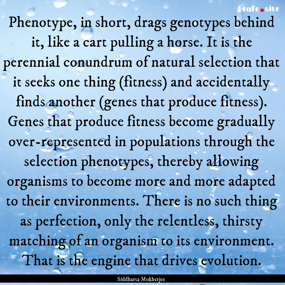 Phenotype, in short, drags genotypes behind.... : Quote by Siddharta Mukherjee