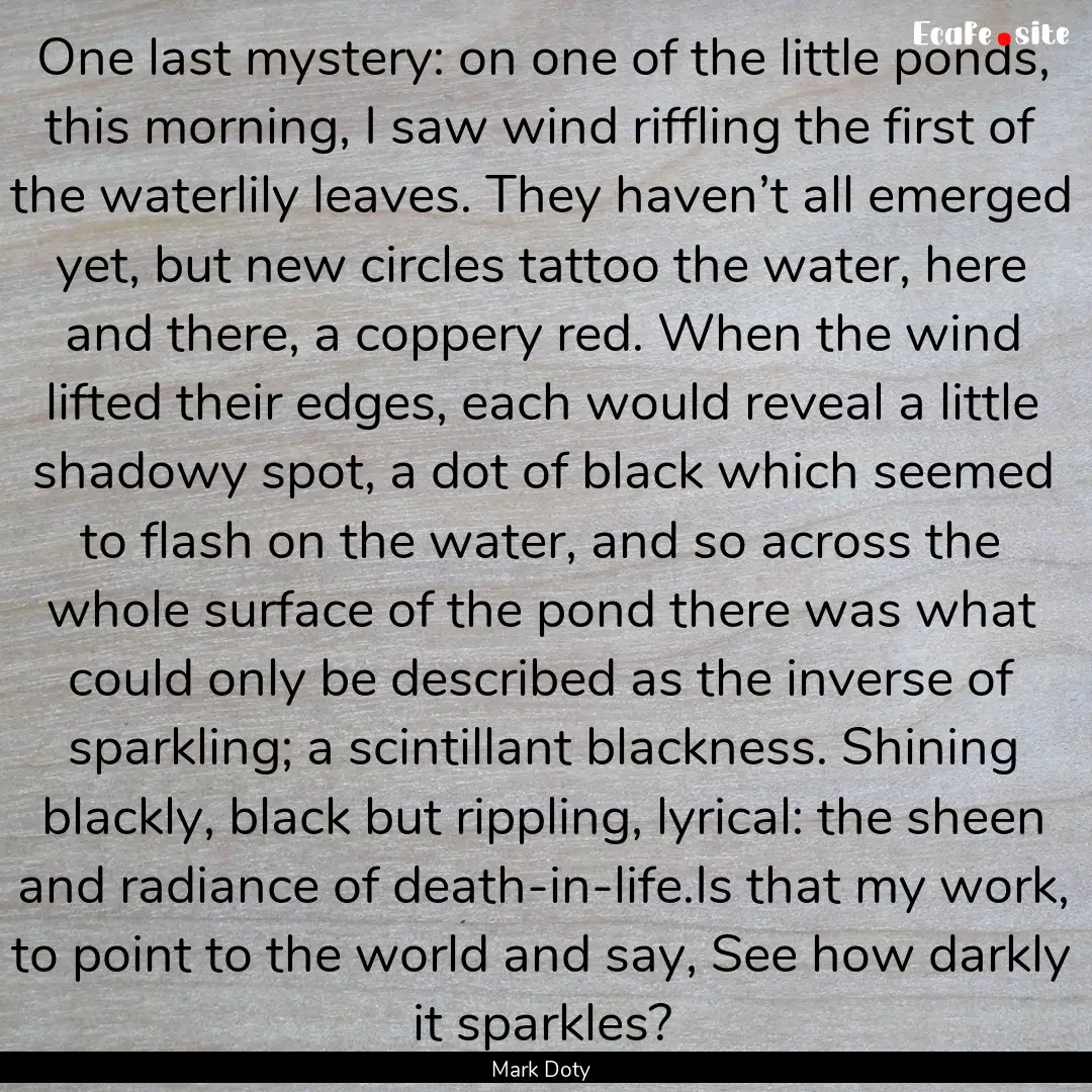 One last mystery: on one of the little ponds,.... : Quote by Mark Doty